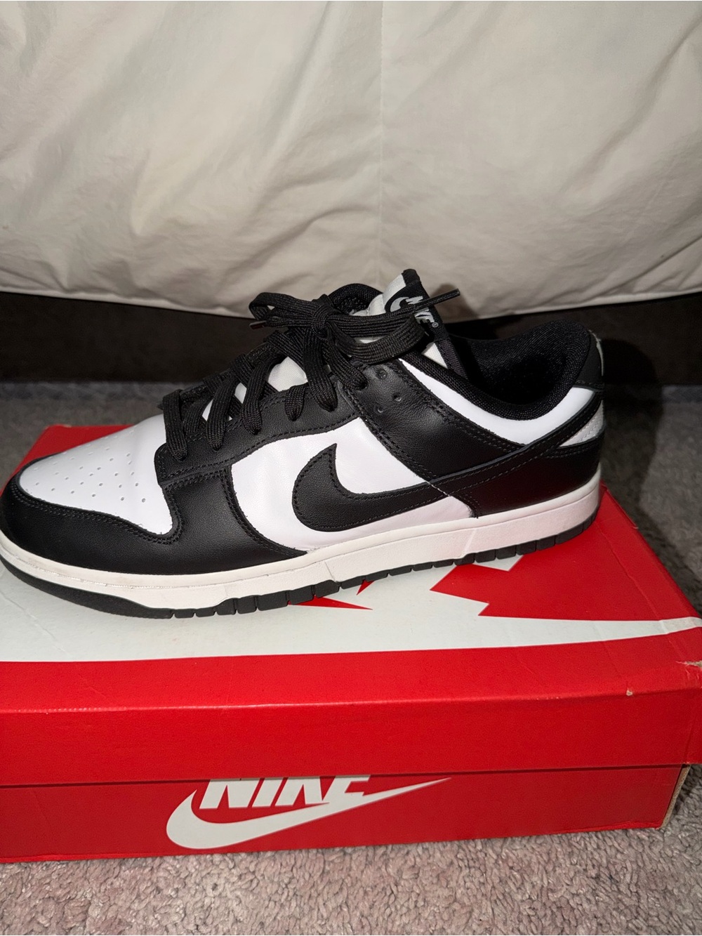 Nike Men’s Black and WhiteDUNKS  Low-Profile Sneakers